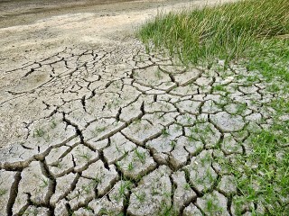 Evolution of chloroplast retrograde signaling facilitates green plant adaptation to land