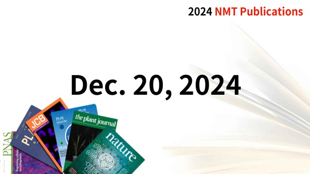 Recent NMT Publications 12/20/24