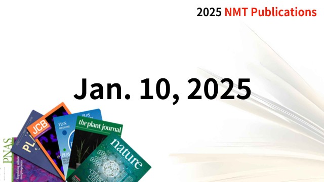 Recent NMT Publications 01/10/25