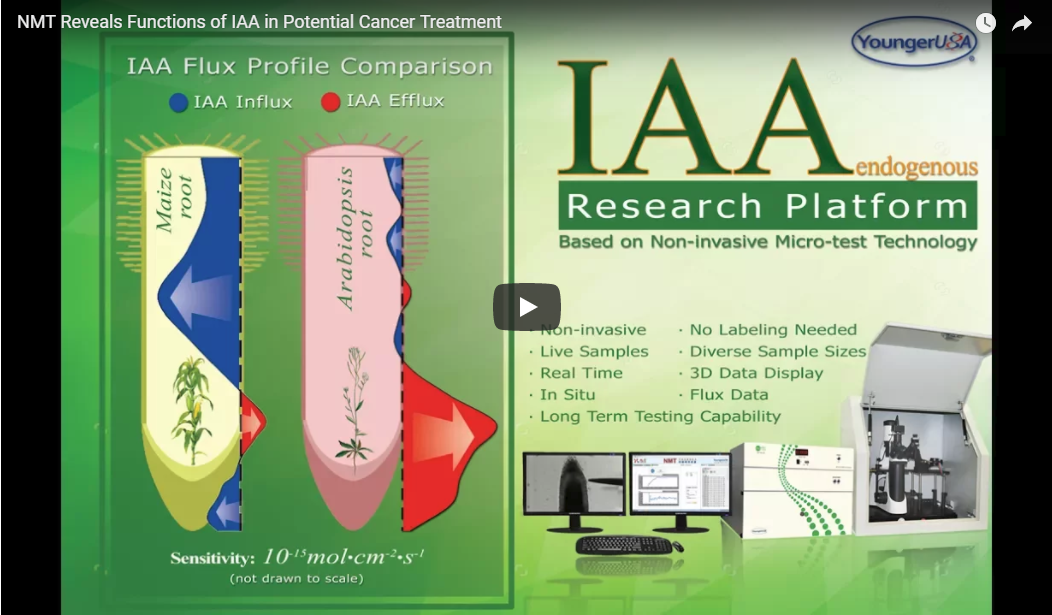 NMT Reveals Functions of IAA in Potential Cancer Treatment